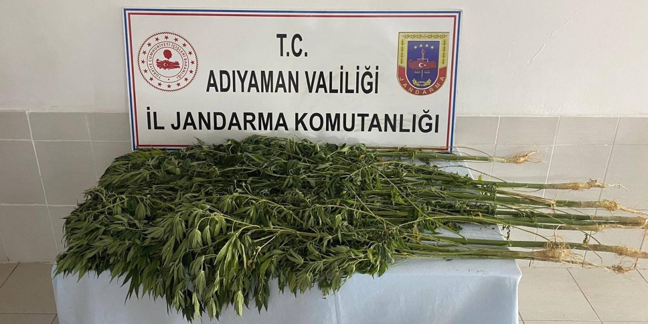 Adıyaman'da Uyuşturucu Operasyonu: 28 Gözaltı