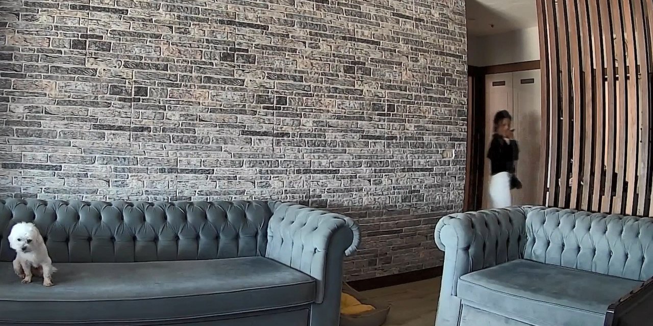 İstanbul- Bahçeşehir'de Eve Hırsız Girdi; Şüphelileri İzleyen Köpek Gülümsetti