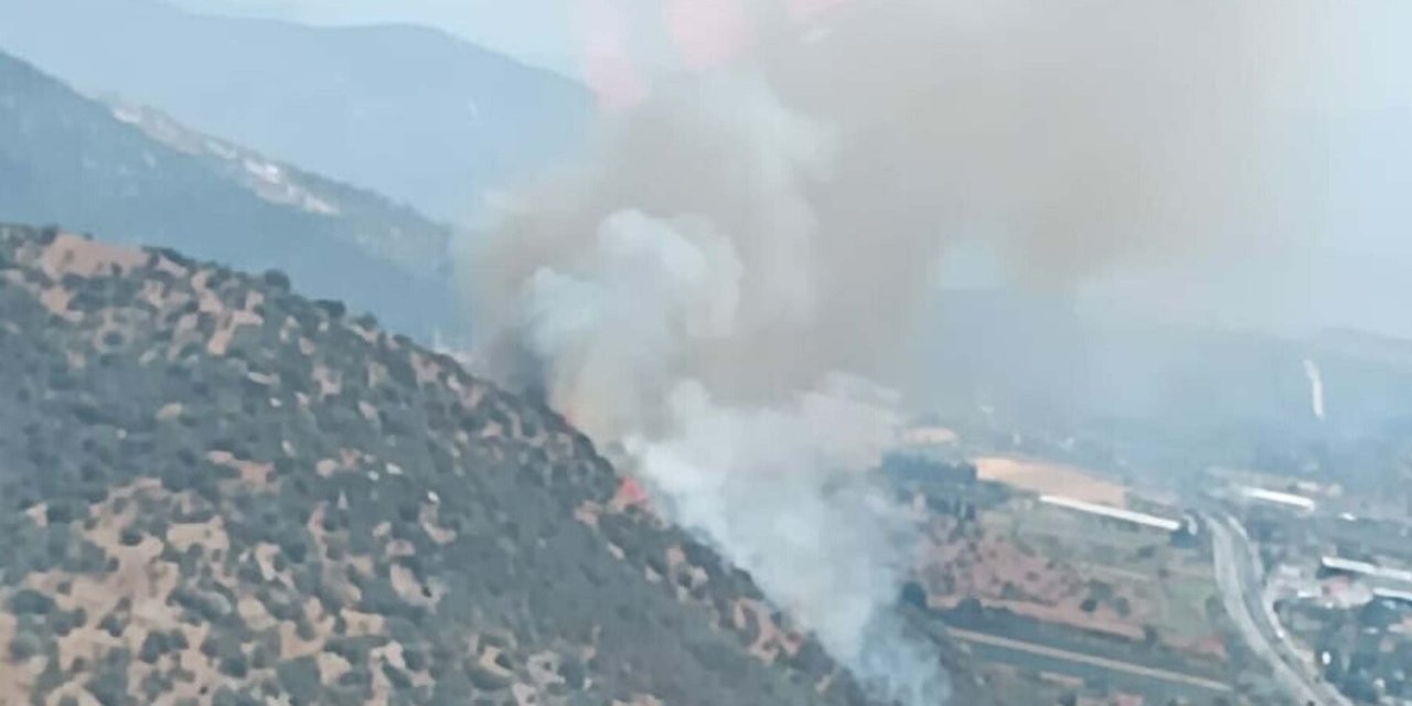Muğla Milas'ta Makilik Ve Tarım Arazisinde Yangın