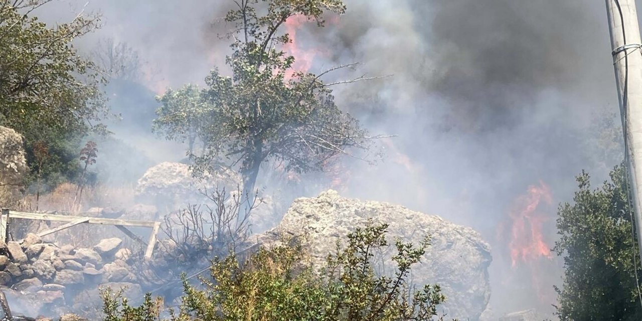 Bodrum'da Makilik Yangını