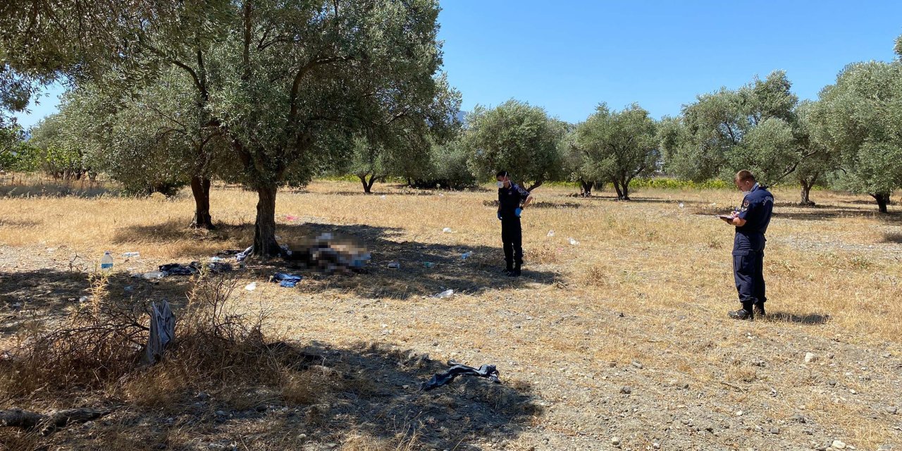 Manisa Zeytinlikte Ölü Bulundu