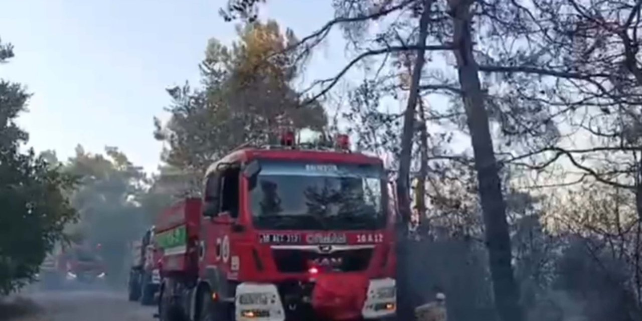 Balıkesir'de Orman Yangını (2)