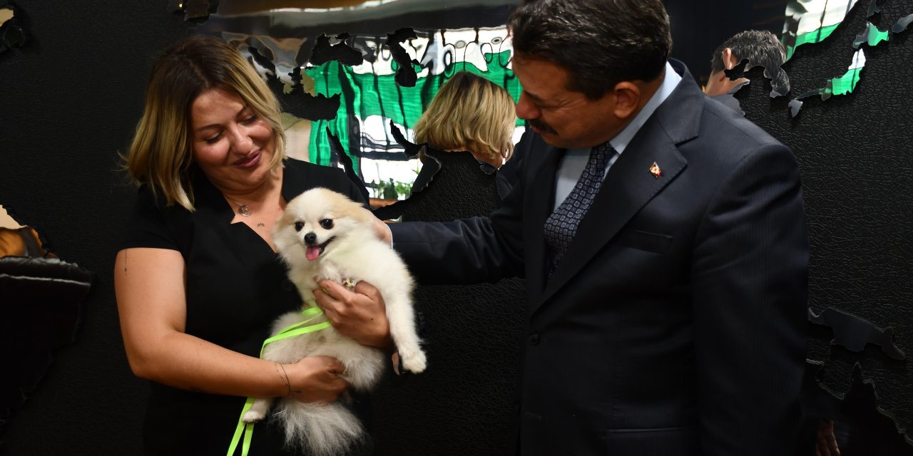 Köpeğine Şiddet Uygulayınca Gözaltına Alındı (2)