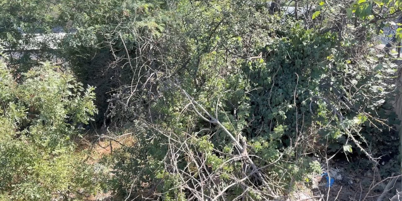 İstanbul-esenyurt'ta Ağaçlık Alanda Erkek Cesedi Bulundu