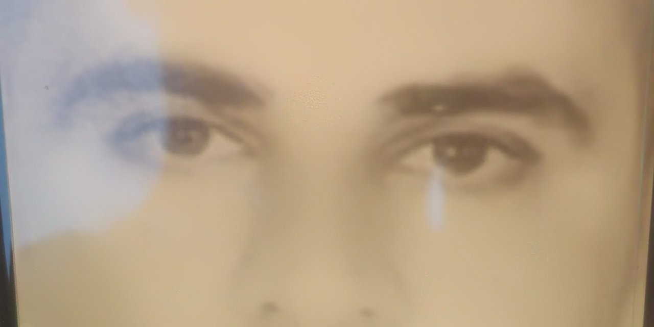 İzmir'de Ormanı Yakan Çiften Koca Tutuklandı, Eşi Serbest