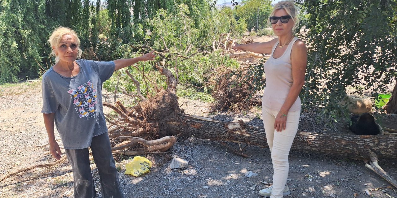Ankara Hayvan Barınağının Yıkılmasına Tepki