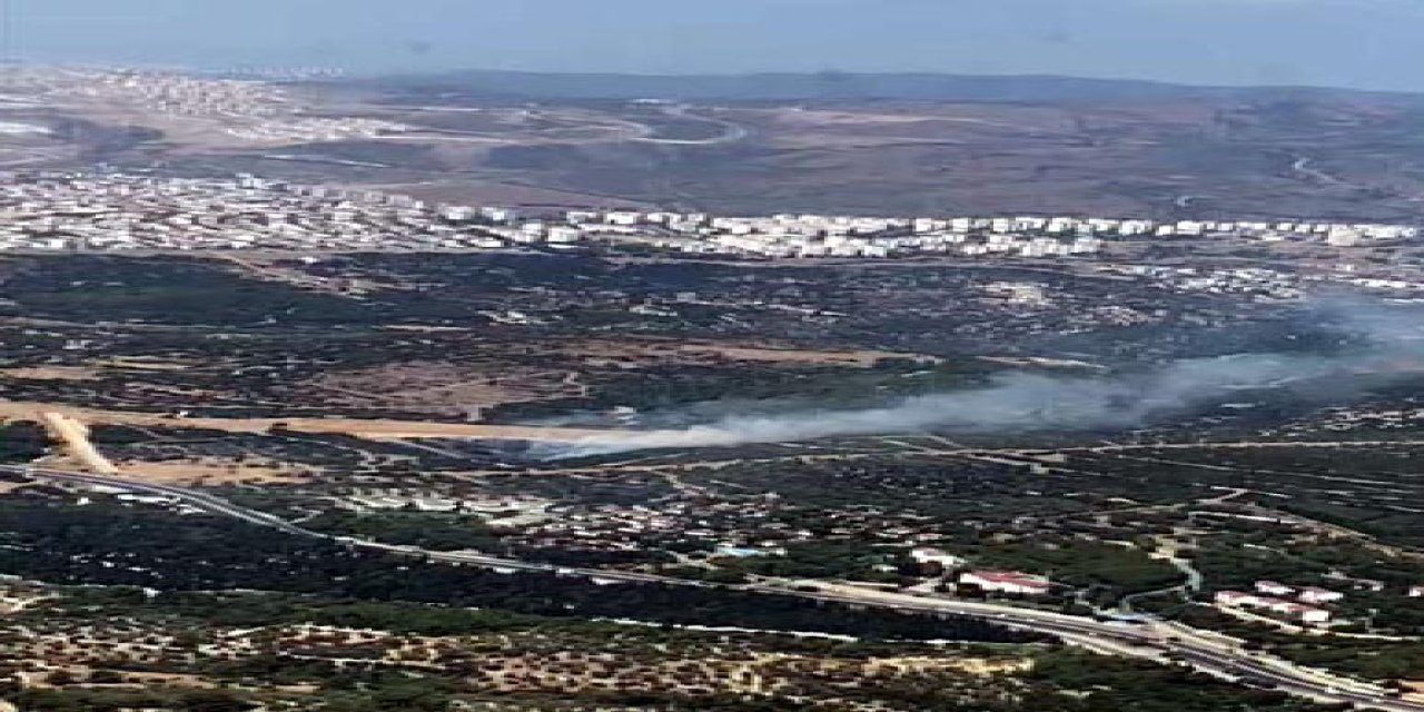 İzmir Bornova'da Orman Yangını