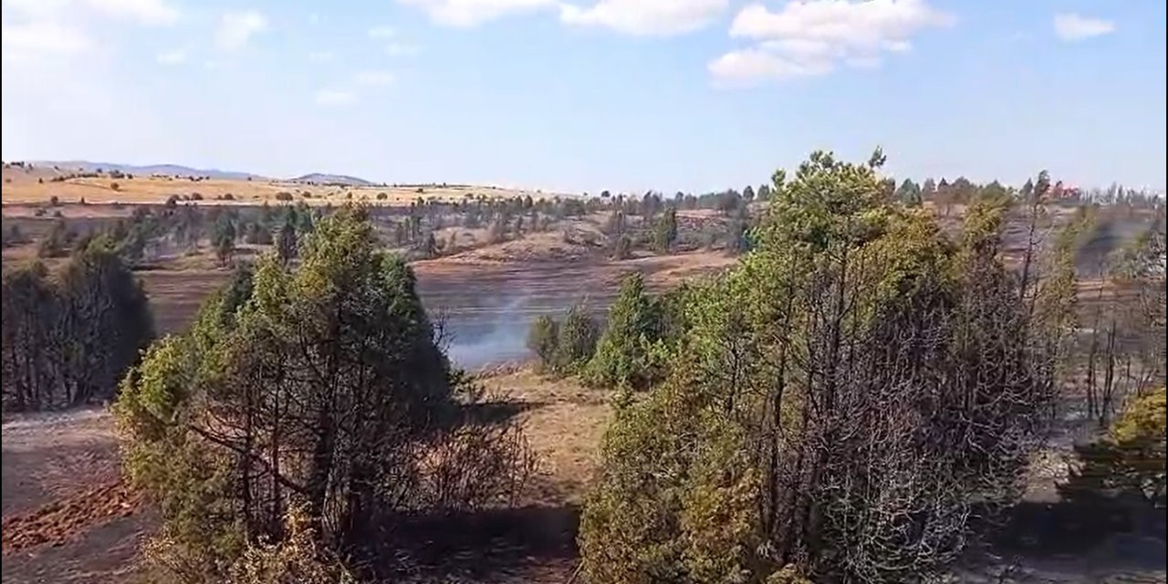 Sivas'ta Orman Yangını