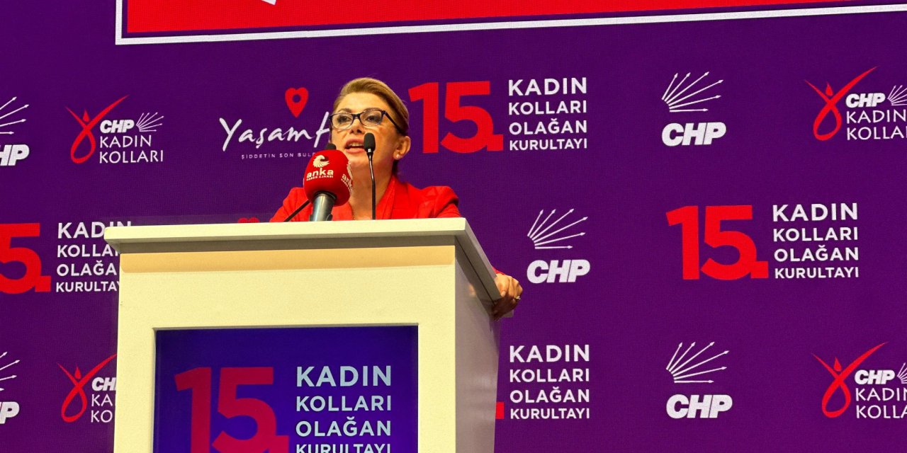 Chp Kadın Kolları Genel Başkanlığına Asu Kaya Seçildi