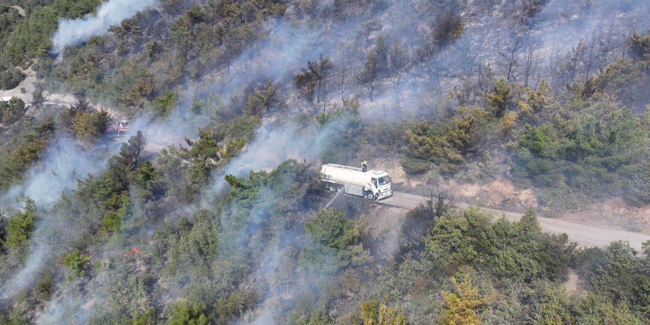 Tokat’ta Orman Yangını