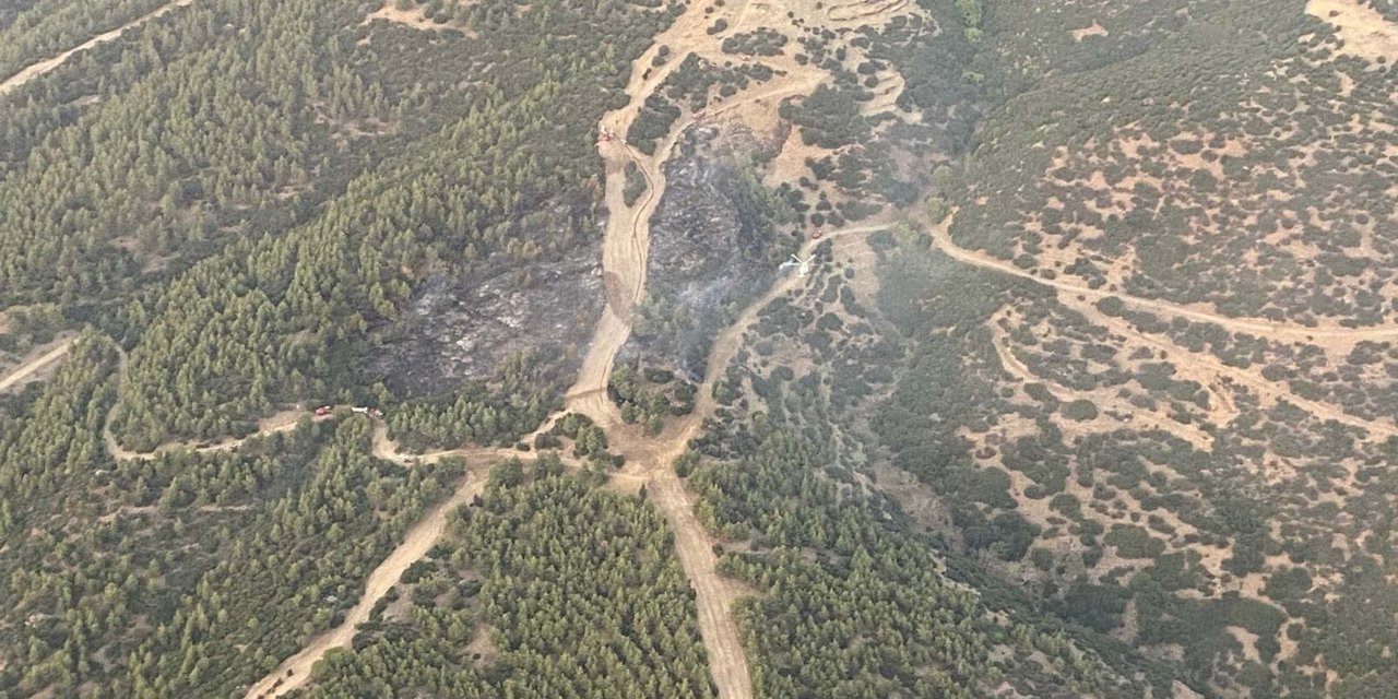 Nazilli'de Çıkan Orman Yangını Kontrol Altına Alındı