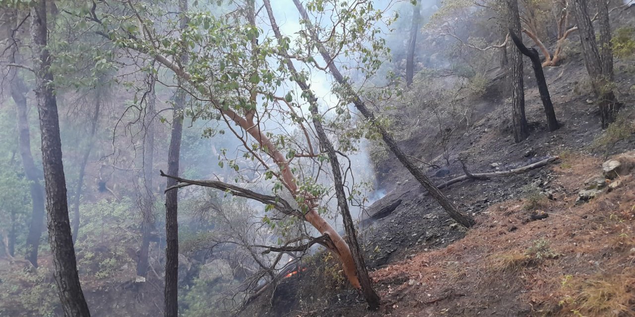 Antalya'da Orman Yangını (2)