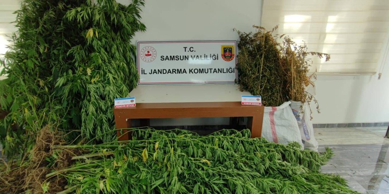 Samsun’da Uyuşturucuya 1 Tutuklama