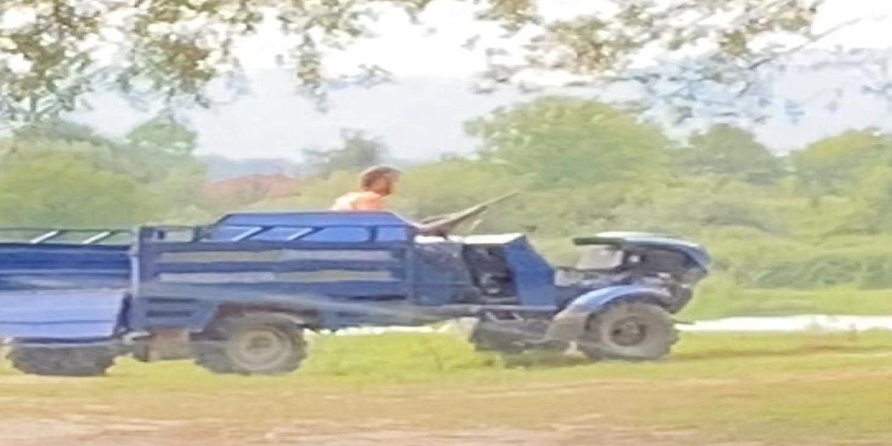 Köpeği tüfekle öldürdü, gözaltına alındı