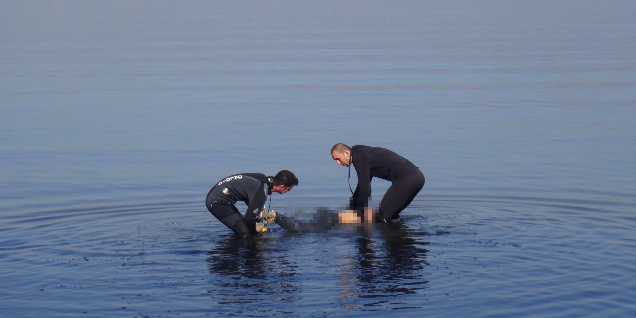 Kocaeli'de denizde ceset bulundu