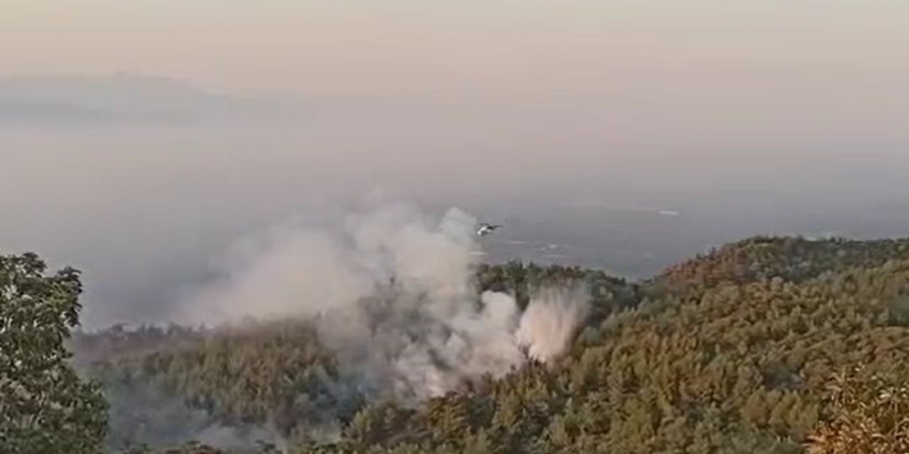 Aydın'daki Orman Yangınında 2’nci Gün