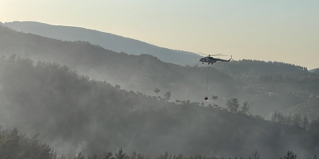Milas’taki Orman Yangınında 2’nci Gün