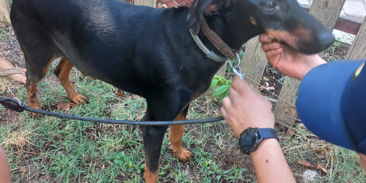 Berzeg İçin Köpeği Tina’nın Da Çalışmalarda Yer Alacağı Yeni Arama Rotası Oluşturulacak