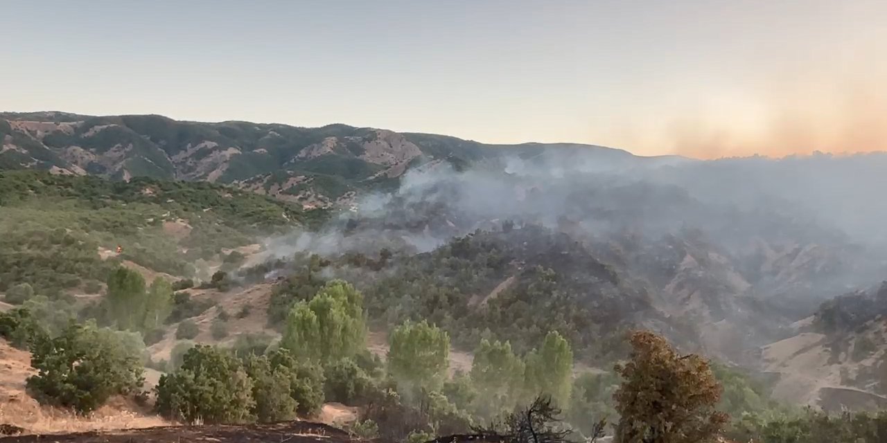 Bingöl'de Çıkan Orman Yangını, Söndürüldü