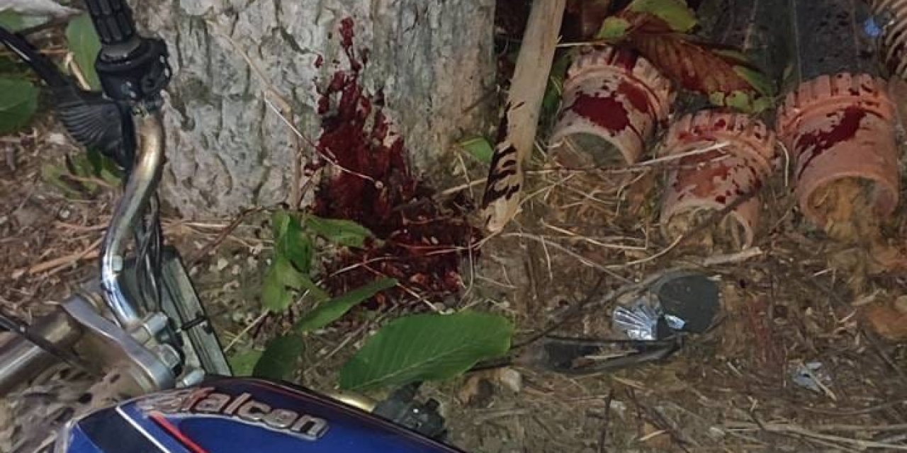 Bursa'da Motosiklet Ağaca Çarptı: 1 Ölü, 1 Yaralı