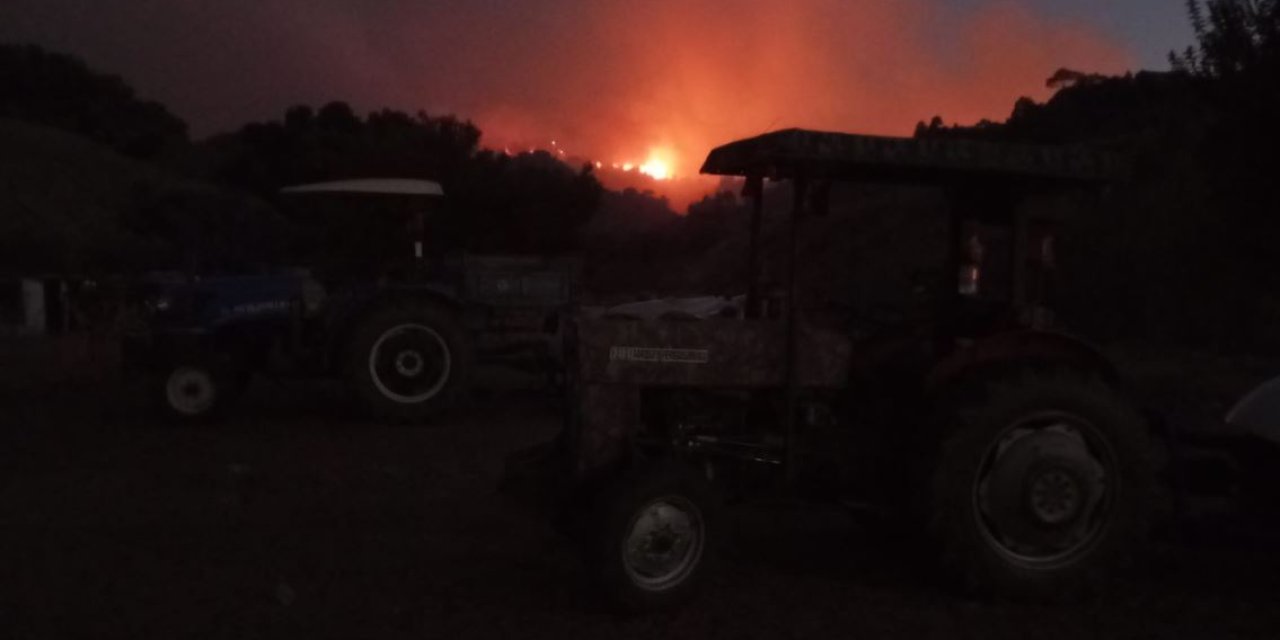 Manisa'da Orman Yangını (2)