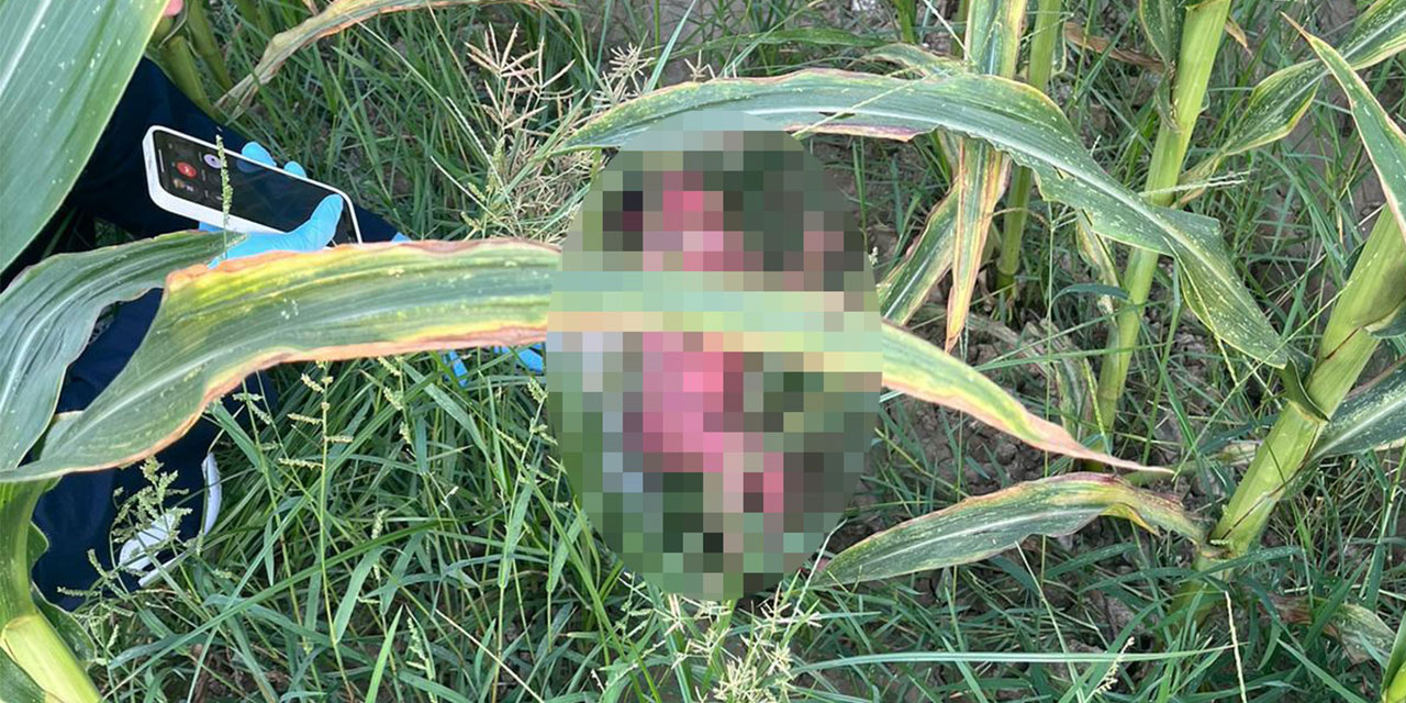 Tarlada bebek bulundu; 15 yaşındaki annesi cinsel istismara uğradığını söyledi