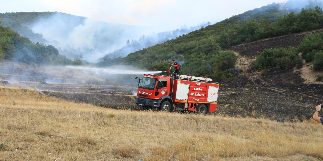 Tokat'ın Erbaa İlçesinde Orman Yangını  (2)