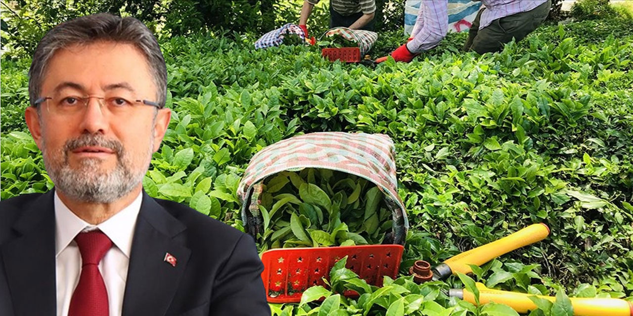 Bakan Yumaklı’nın Rize programı netleşti