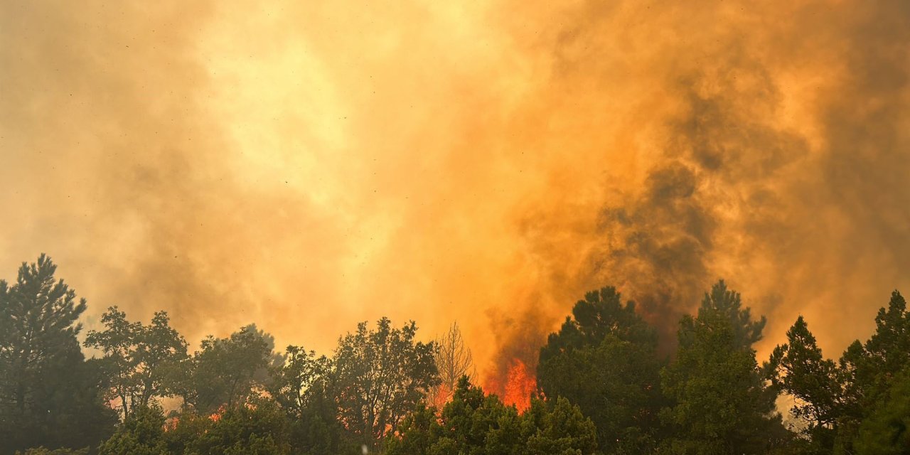 Kütahya’da Orman Yangını
