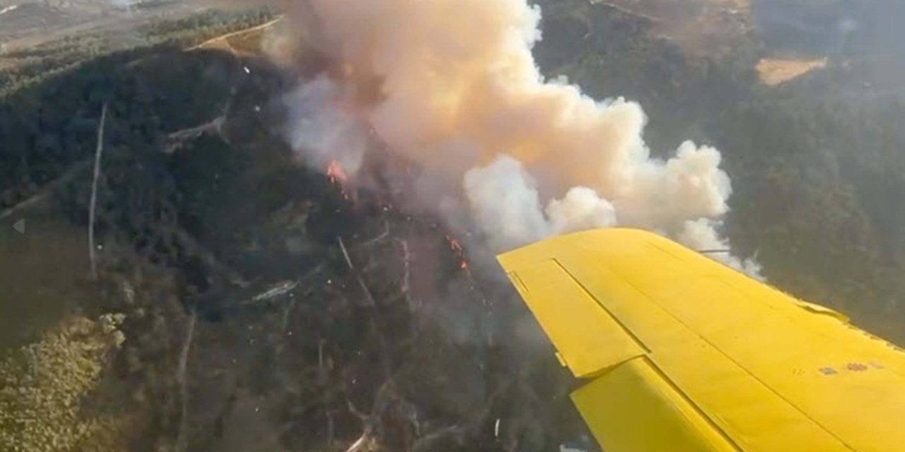 Manisa'da Orman Yangını