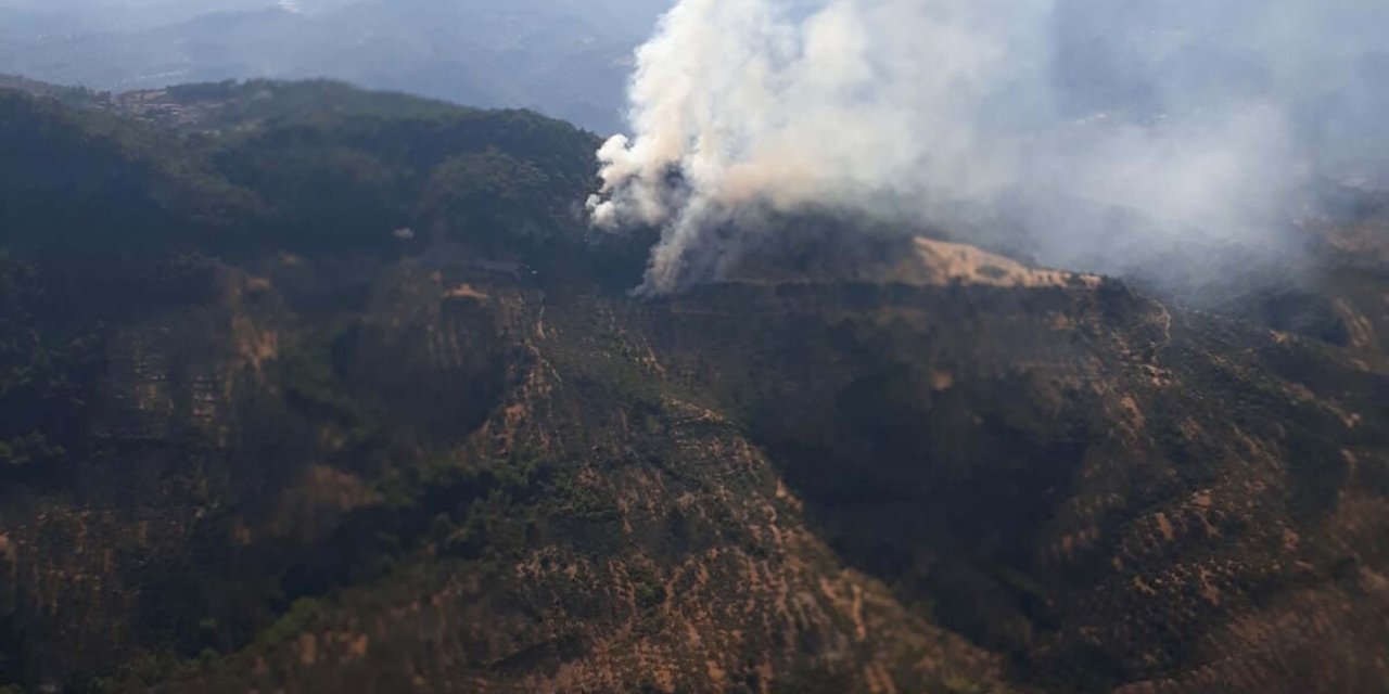 Çanakkale'de Orman Yangını (2)