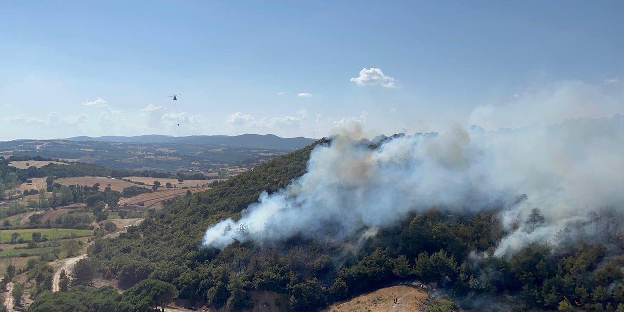 Çanakkale'de Orman Yangını