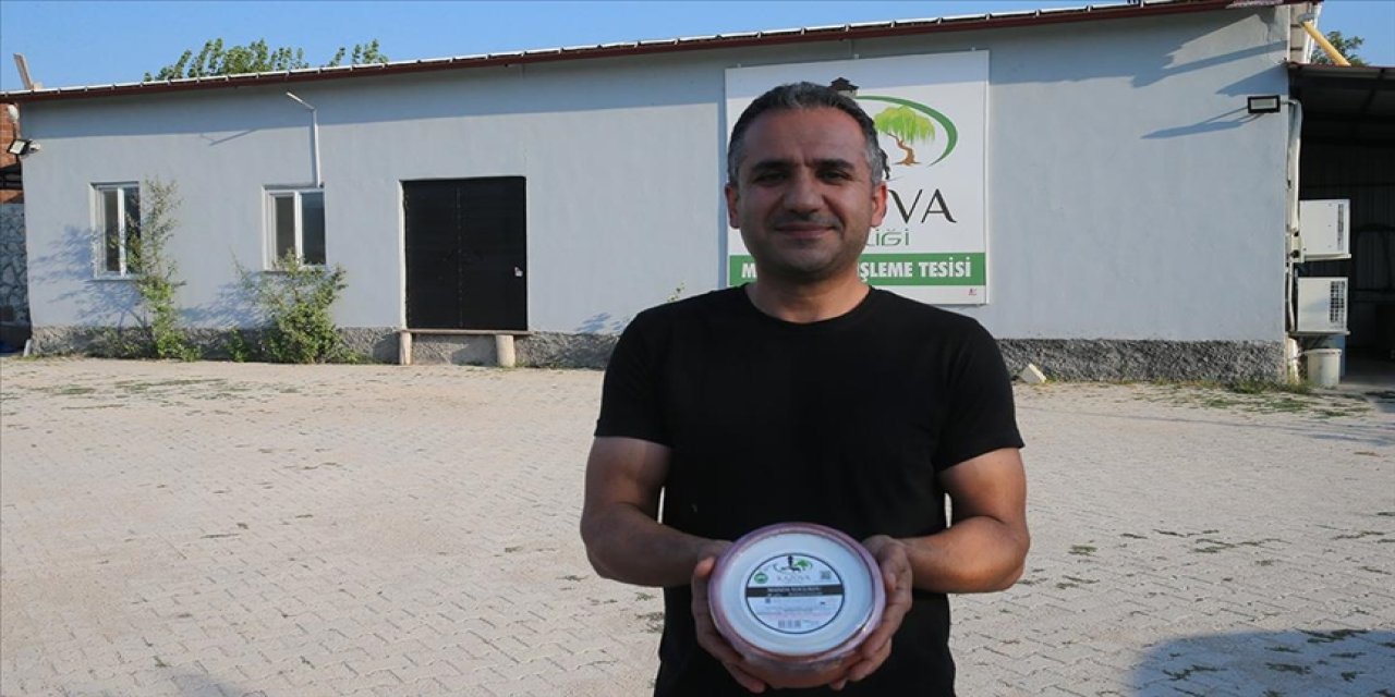 Tokat'ta köyde kurdukları işletmede manda yoğurdu üretip Dubai'ye kadar ulaştılar