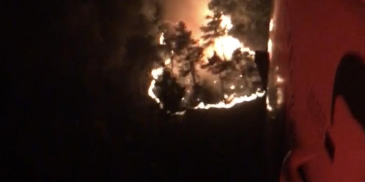 Manisa'da Orman Yangını (3)