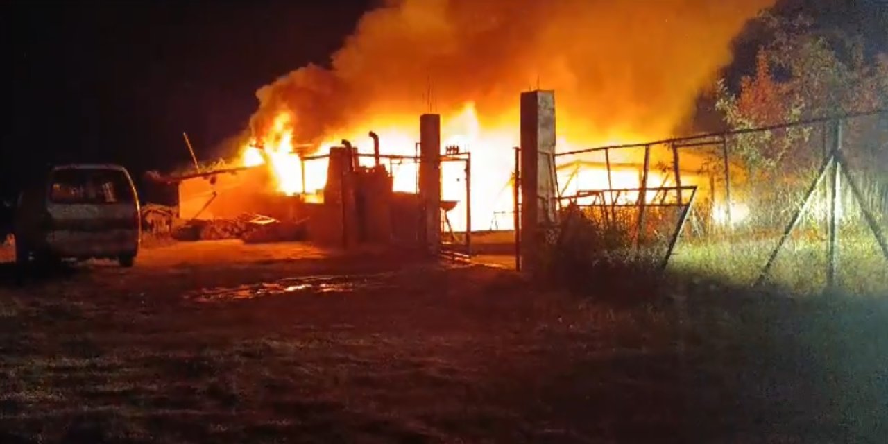 Mersin'de Yayla Evi Küle Döndü