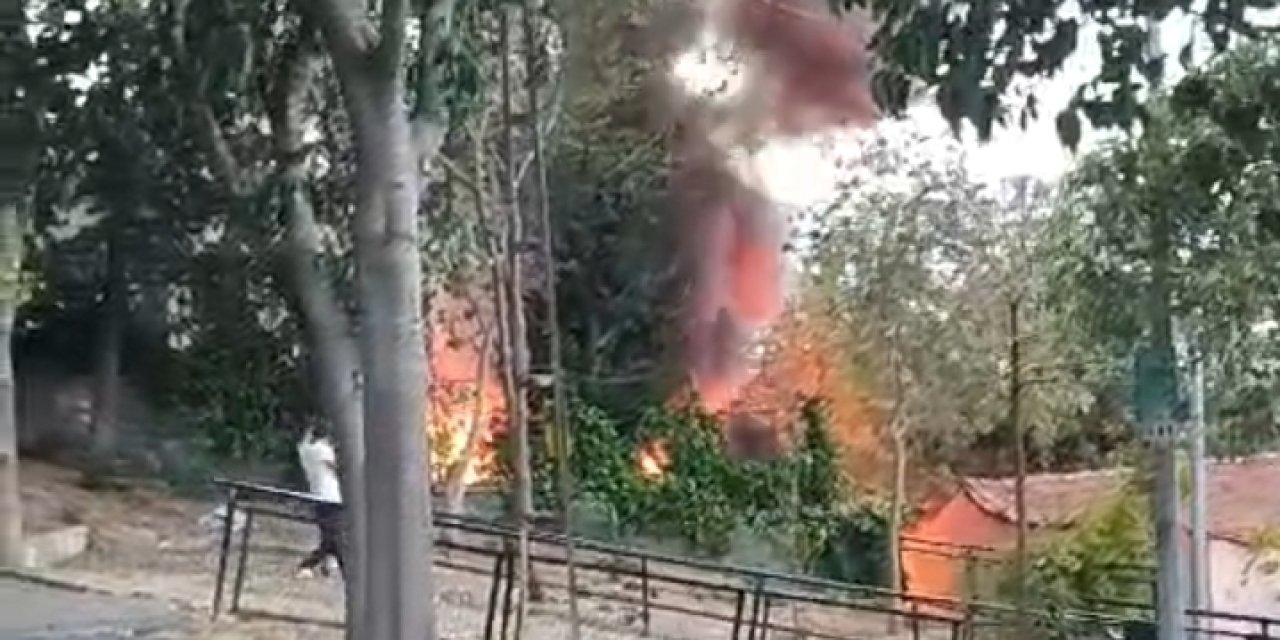 İstanbul- Eyüpsultan'da Alevlerin Arasında Kalan Köpeğini Kurtardı