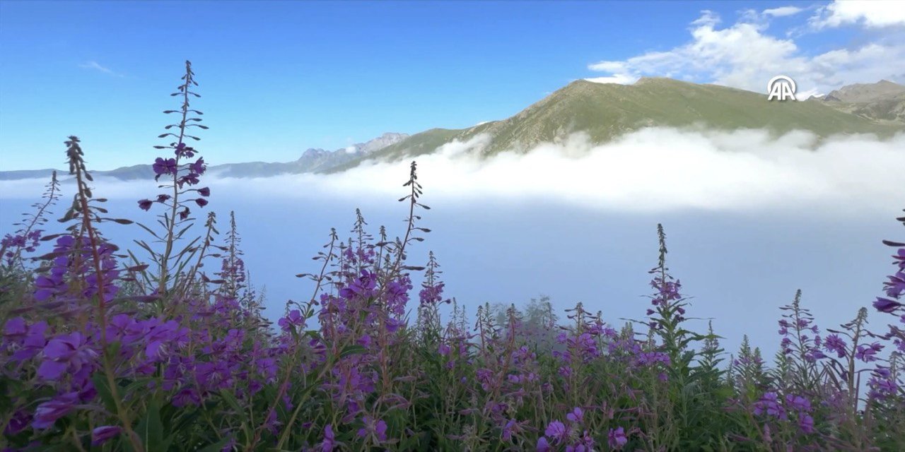 Kaçkar Dağları Milli Parkı