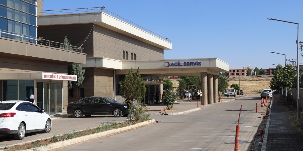 Dedesini Ziyarete Giden Asel Lina, Süs Havuzuna Düşerek Boğuldu