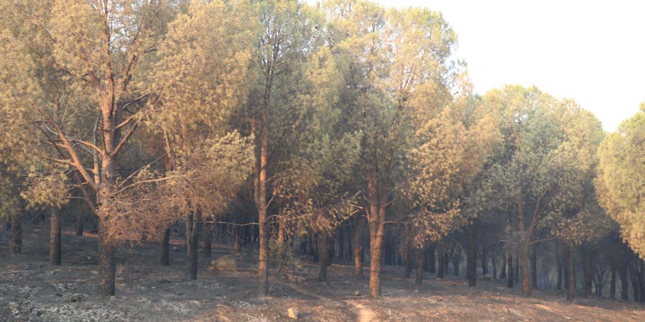 İzmir'deki Yangın Felaketinde 3’üncü Gün; Acı Tablo Gün Ağarınca Ortaya Çıktı