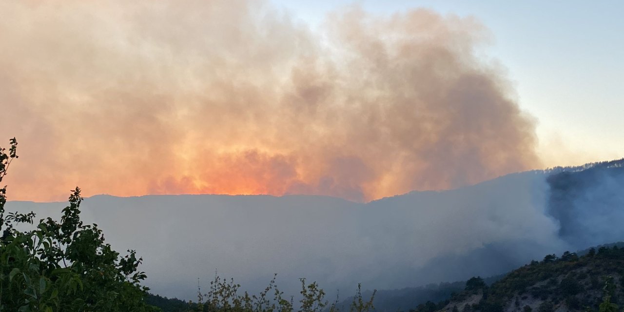 Karabük’teki 2 Orman Yangınından 1’i Kontrol Altına Alındı (2)