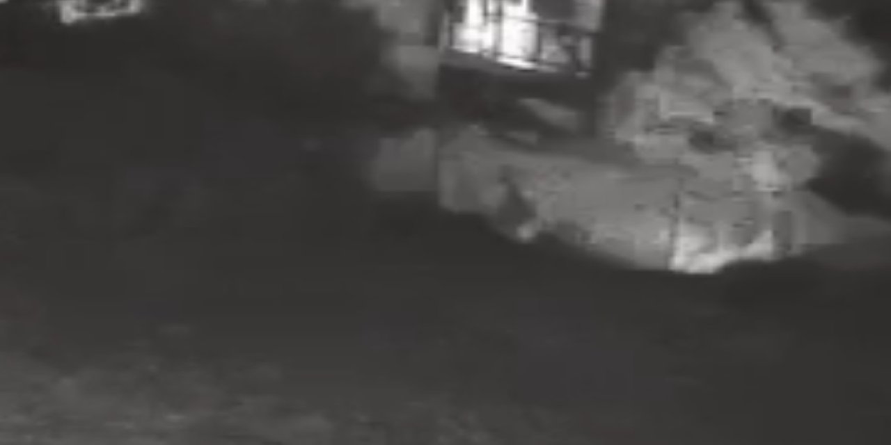 Bozcaada'da Şüphelinin Otluk Alanı Ateşe Verdiği Anlar Kamerada