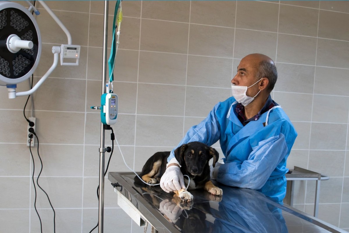 Rize Belediyesi: Kanun ve Yönetmelikleri Uyguluyoruz