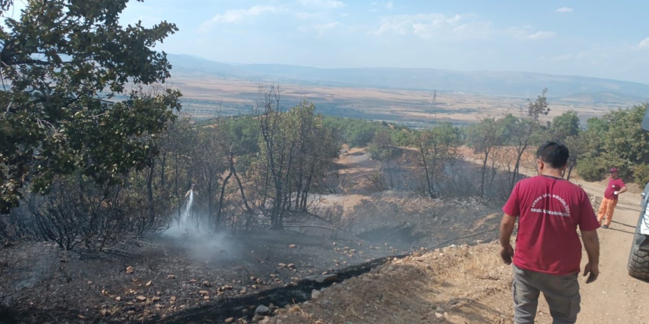 Bingöl'de Orman Yangını 2 Saatte Söndürüldü