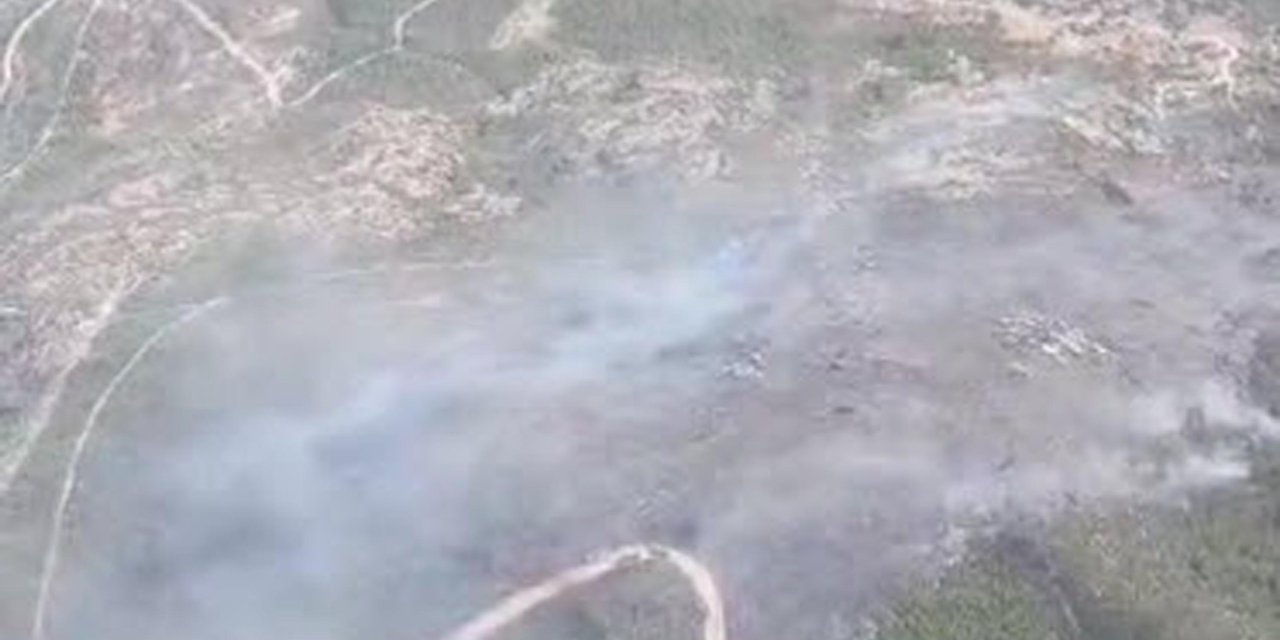 İzmir'de Orman Yangını (2)