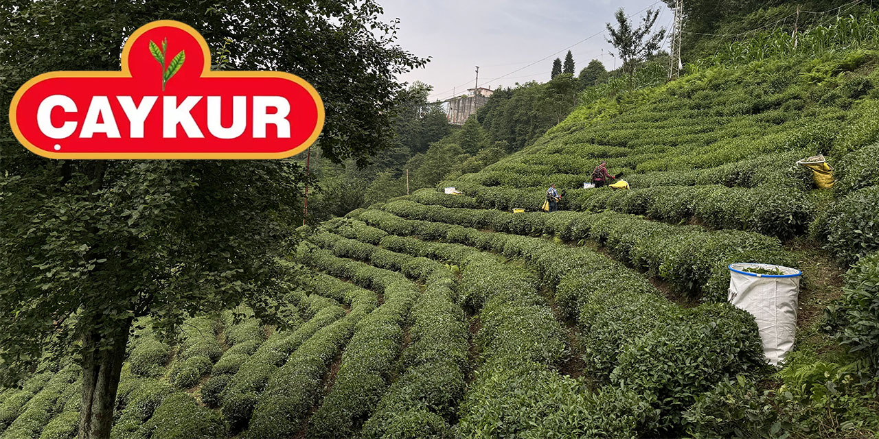 ÇAYKUR, 21 Mayıs Uluslararası Çay Günü'nü kutladı
