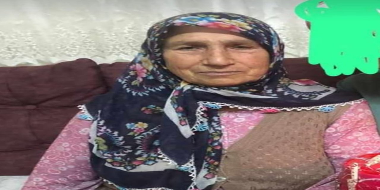 İneklerini toplamak için evden çıkan kadın 2 gündür kayıp