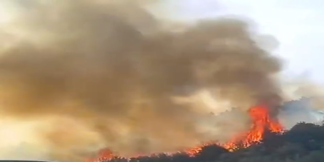 Bursa Kulübedeki Yangın, Zeytin Bahçelerine Sıçradı