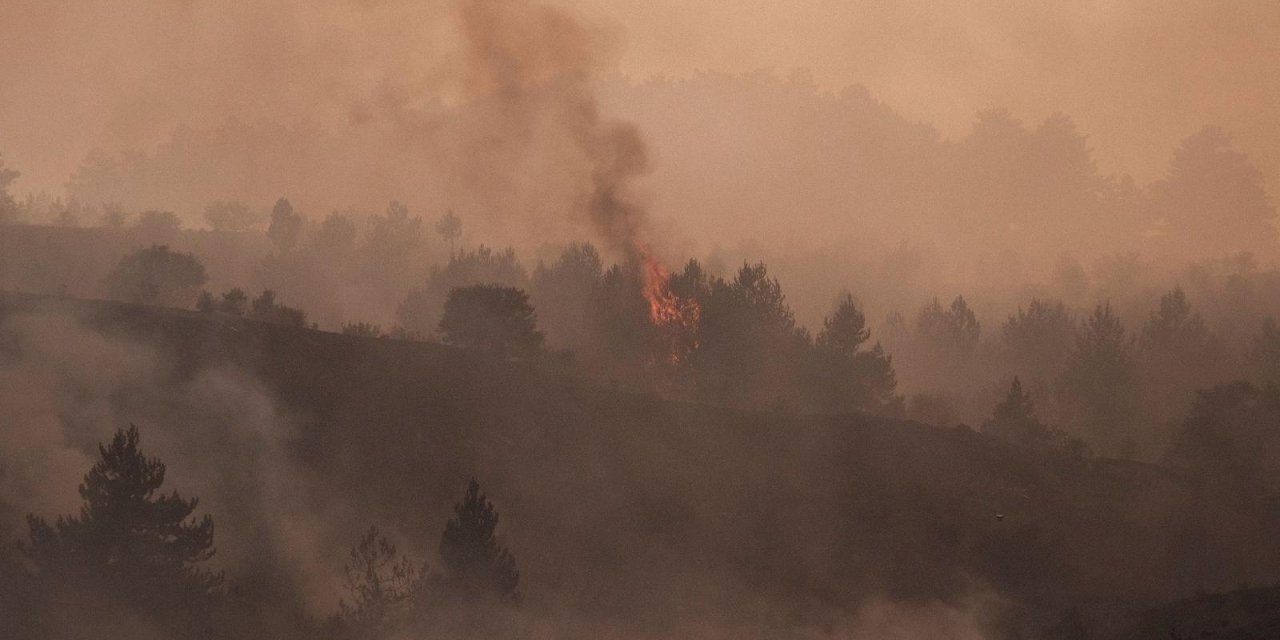 Ankara'da Çıkıp Bolu'ya Sıçrayan Orman Yangını Kontrol Altına Alındı (6)