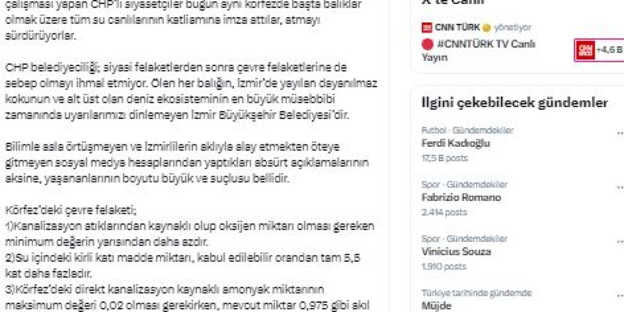 Kordon'da Ölü Balık Kokusunda Av (2)