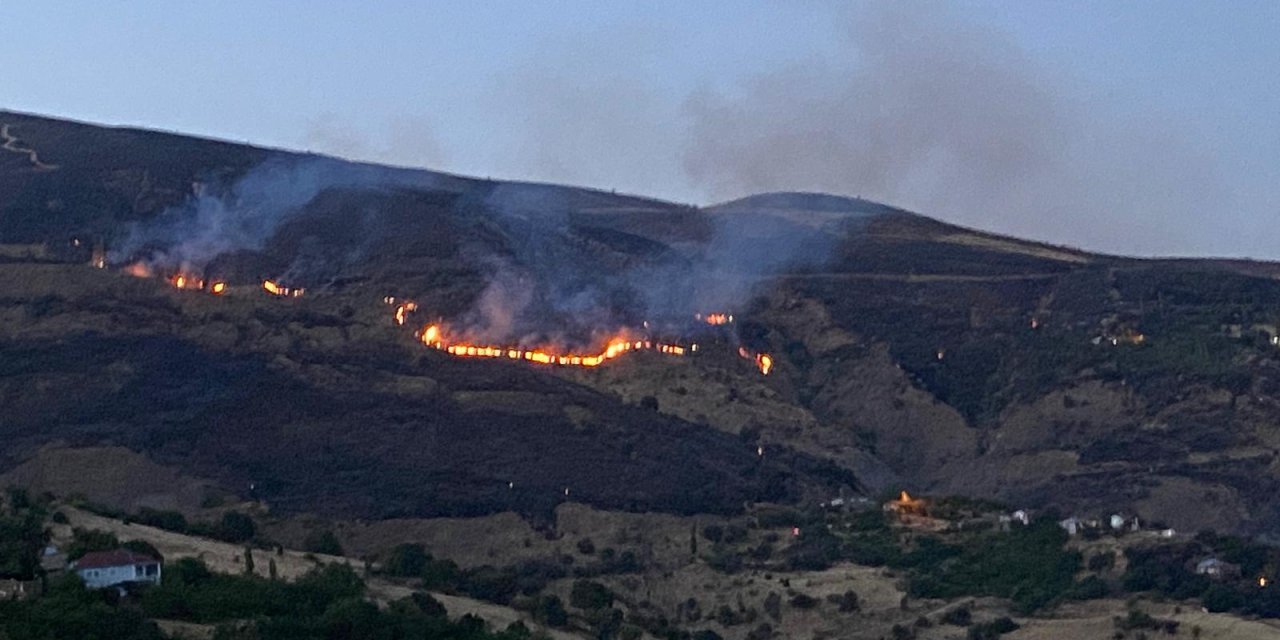 Malatya'da Orman Yangını (2)